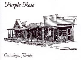 Purple Rose Post Card